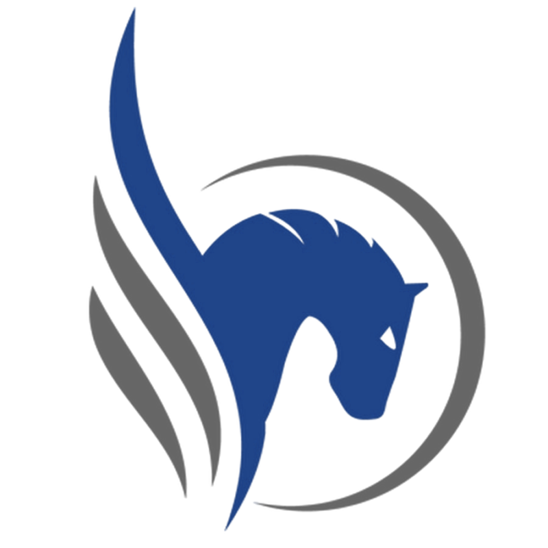 Pegasus Blueprint
